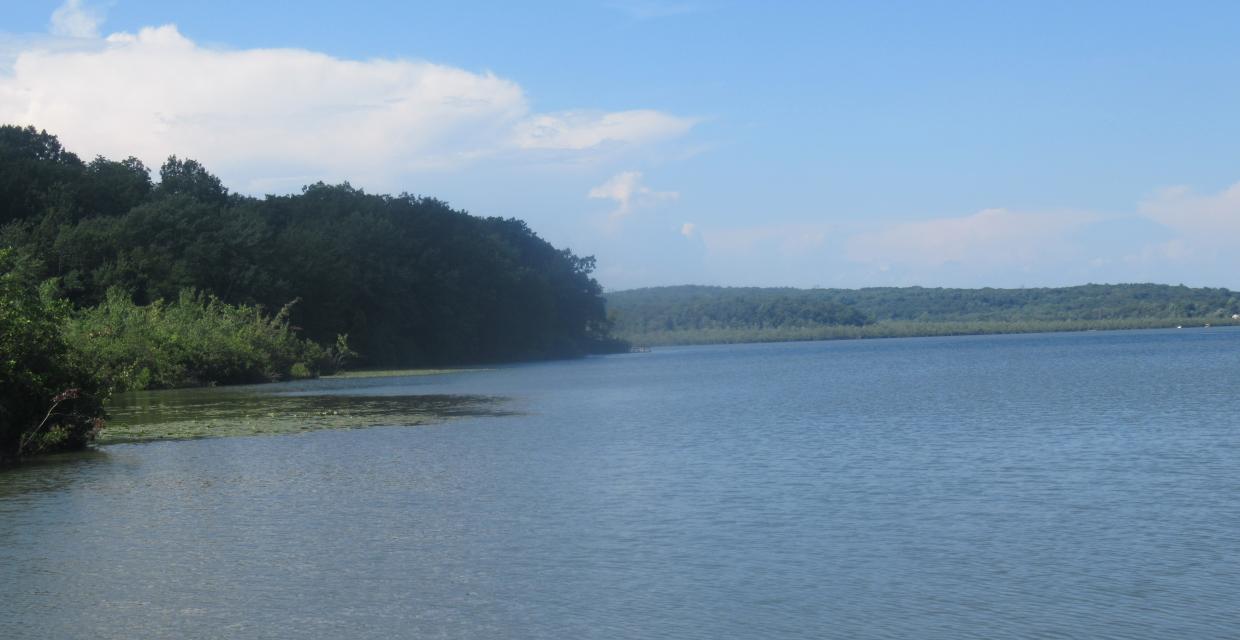 Budd Lake - Photo by Daniel Chazin