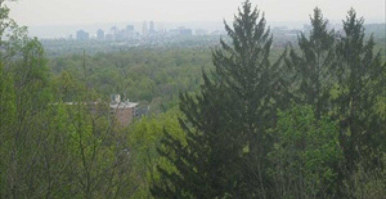 Misty view of NYC from Mills Reservation State Park