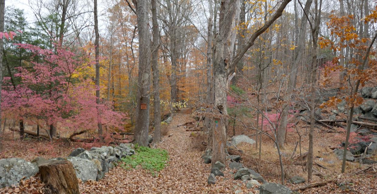 Heading north from Colabaugh Pond Road Photo:Jane Daniels