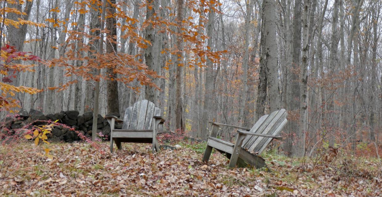 Sitting pretty along the Briarcliff Peekskill Trailway Photo: Jane Daniels