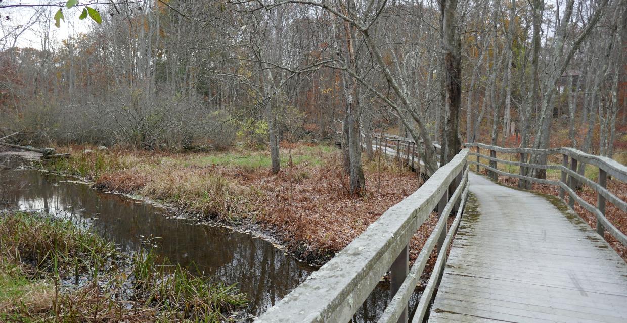 Where does the boardwalk end? Photo: Jane Daniels