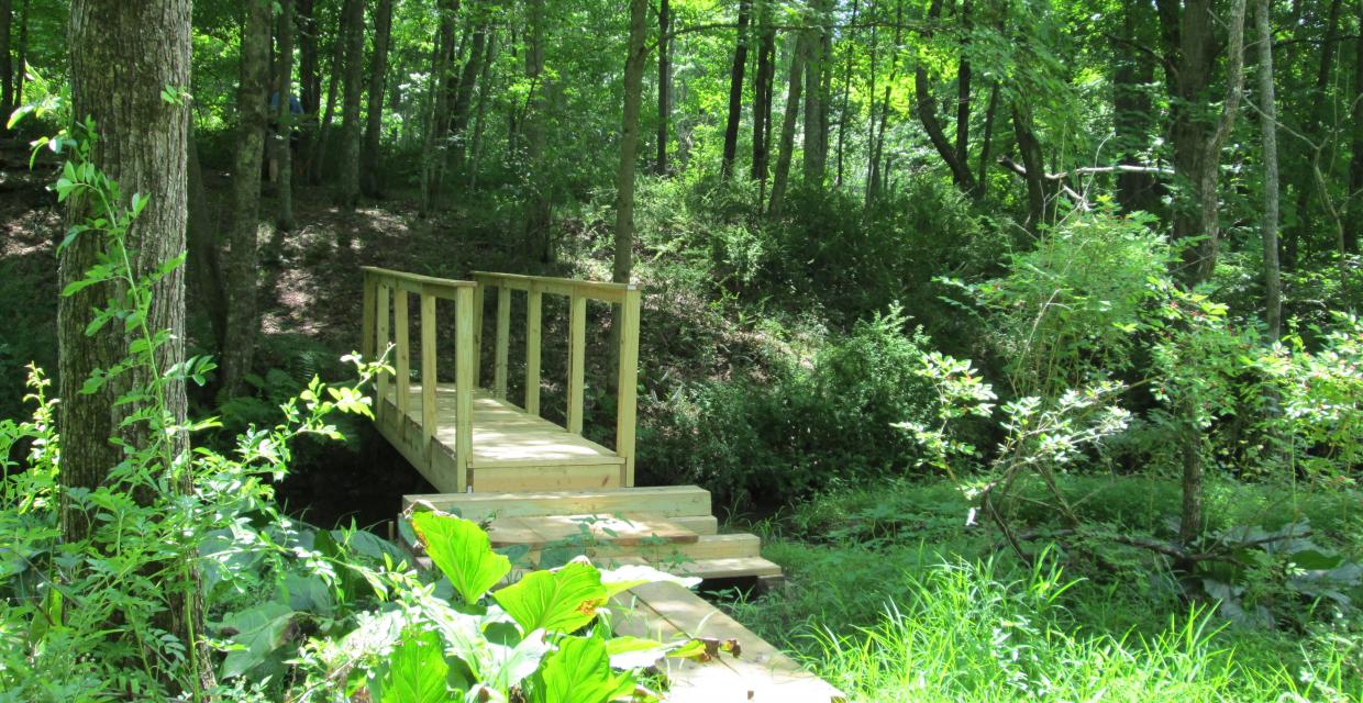 Stream crossing in Angle Fly Preserve - Photo: Jane Daniels