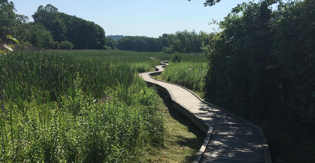 New Jersey Boardwalk on the Appalachian Trail - Photo Moe Lemire