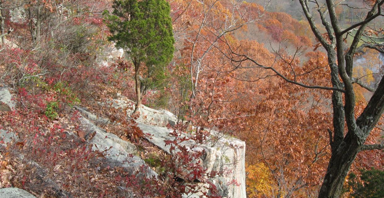 Raven Rocks at Ward Pound Ridge Reservation - Westchester County