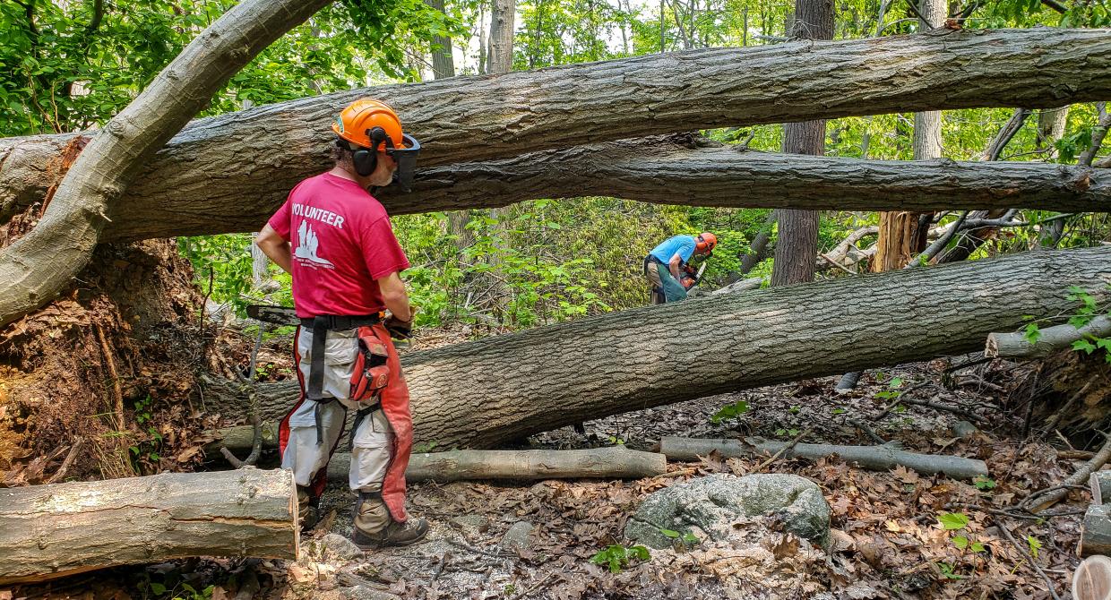 Trail Conference sawyers clearing a section of the Appalachian Trail. Photo by Jane Daniels.