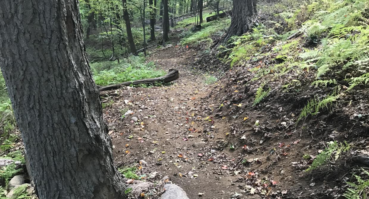 The Hutchinson-Red Back Trail in Sterling Forest State Park. Photo by Erik Mickelson.