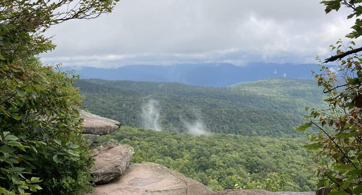 Catskill Trail Steward site. Photo by Claire McMahon.