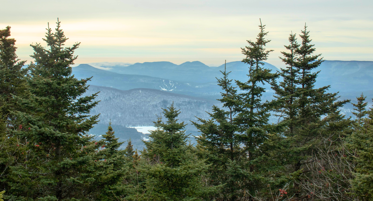 View of Devils Path in late winter from Blackdome in the Catskills