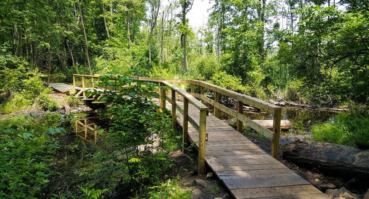 Crom Pond Trail Bridge in FDR State Park. Photo by Jane Daniels.