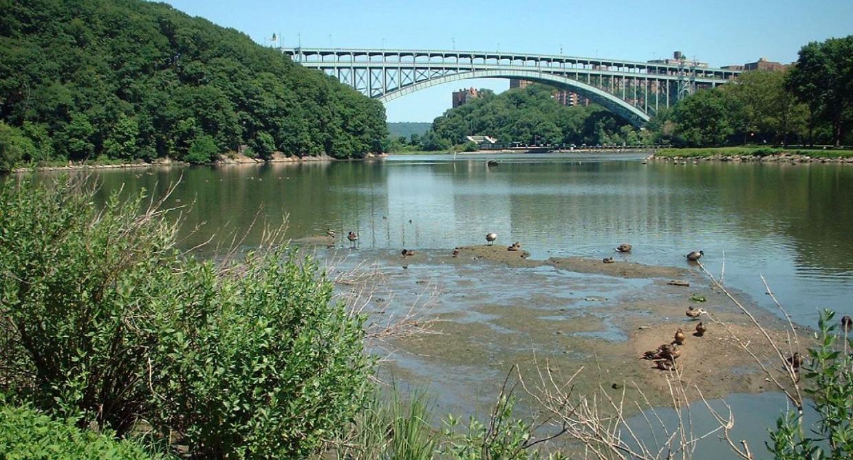 Inwood Hill Park by baslow (Barry Solow)