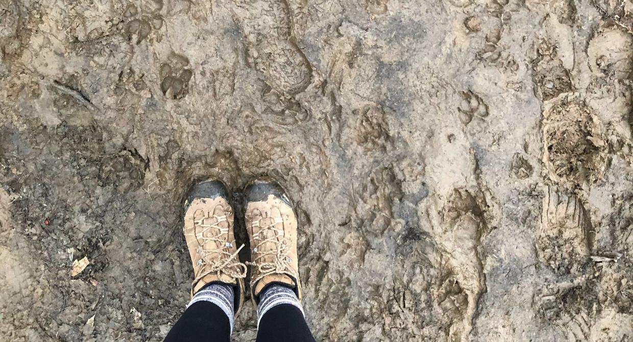 Mud Season. Photo by Heather Darley.