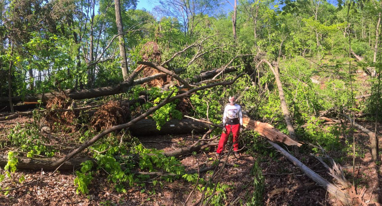 Trail Conference Sawyer Jim Haggett working on the Appalachian Trail in Taconic State Park. Photo by Moe Lemire.