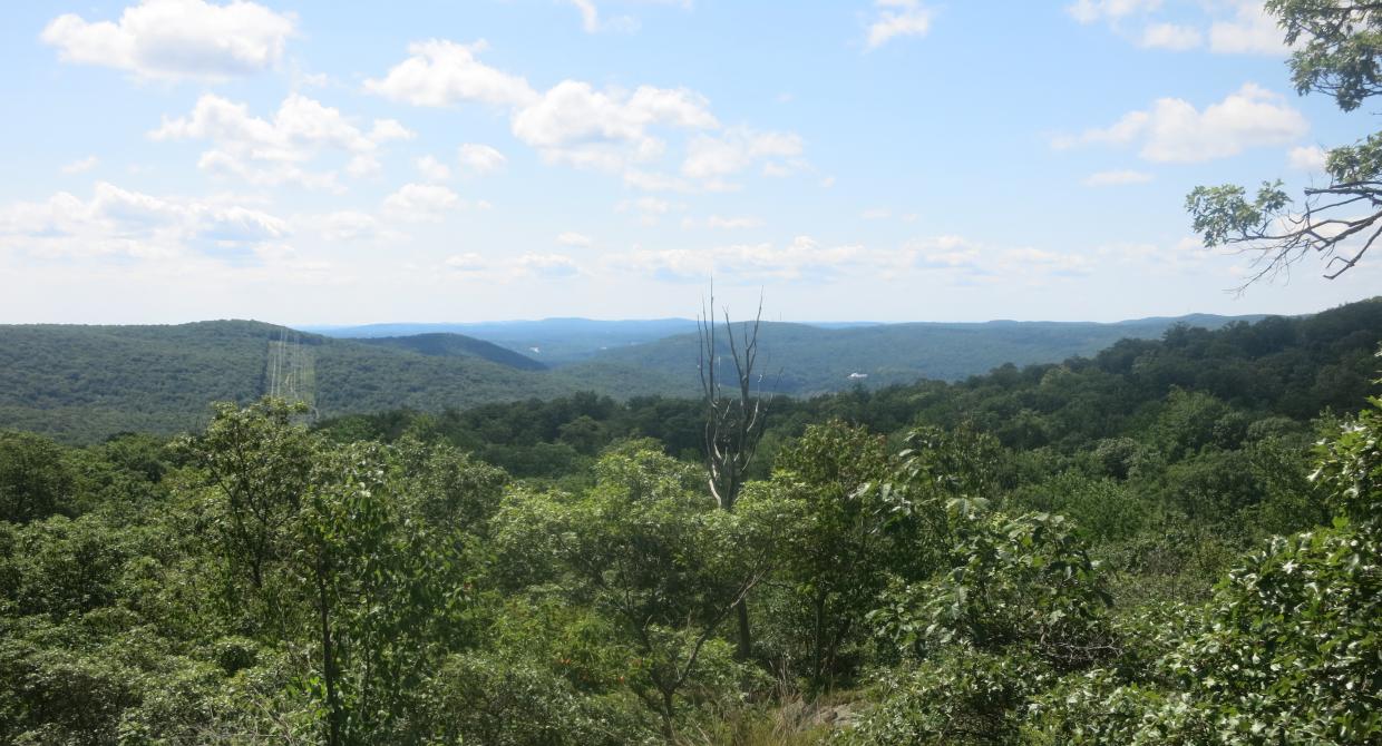 Raccoon Brook Hills Trail / Photo Credit: Daniel Chazin