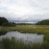 Shore at Marshlands Conservancy Photo: Jane Daniels