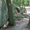 Along the trail Bear Mountain Summit Loop - Harriman-Bear Mountain State Parks