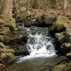 Cascade in Roaring Brook - Photo by Daniel Chazin.