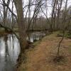 Along the Manasquan River - Allaire State Park North - Photo credit: Daniela Wagstaff