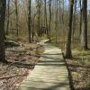 Boardwalk Along the De Filippi Trail - Tenafly Nature Center - Photo credit: Trail Conference