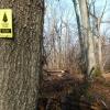 Along the Lenape Trail - South Mountain Reservation - Photo credit: Daniela Wagstaff