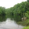 Pond along the Green Trail - Photo by Daniel Chazin