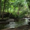 The green trail frequently parallels Hunter Brook Photo:Jane Daniels