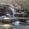 Mineral Springs Waterfall in Black Rock Forest. Photo credit: Amber Ray