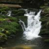 Waterfall in Van Campens Glen - Photo by Daniel Chazin