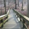 Wooden bridge across a stream - Photo by Daniel Chazin