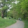 Hikers along the Lower Trail at Rockwood Hall - Photo by Daniel Chazin