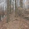 The Long Path in Tallman Mountain State Park. Photo by Daniel Chazin.