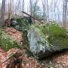 Teatown Lake Reservation, Twin Lakes Trail. Photo by Daniel Chazin.