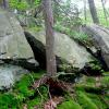 View of rocks along trail - Sugarloaf Hill and Osborn Loop Trail - Photo: Daniel Chazin