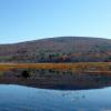 View of the Shawangunk Ridge from Basha Kill Lake - Photo credit: Jakob Franke