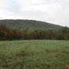 Cushetunk Mountain from a farm field - Photo credit: Daniela Wagstaff