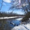 Along the Rancocas Creek in Rancocas State Park - Photo credit: Daniela Wagstaff