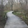 Meandering Boardwalk through Swamps in Lord Stirling Park - Photo credit: Daniel Chazin