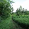 Typical mowed field edges in Whittingham Wildlife Management Area - Photo credit: Daniela Wagstaff