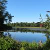 Scenic swamp in Weldon Brook Wildlife Management Area - Photo credit: Daniela Wagstaff