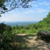 View along the Vista Trail in Big Pocono State Park - Photo credit: Daniela Wagstaff