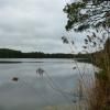 View of Wells Mills Lake in Wells Mills County Park - Photo credit: Daniela Wagstaff