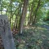 Railroad remnants along the trail in Mount Ivy Environmental County Park - Photo credit: Daniela Wagstaff