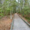 Boardwalk through Estell Manor Park - Photo credit: Daniela Wagstaff