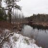 Along the West Branch Wading River - Franklin Parker Preserve - Photo credit: Daniela Wagstaff