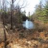 Pond at Woodfield Reservation - Photo credit: Daniela Wagstaff