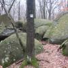 Boulders along the White Square Trail in Sourland Mountain Nature Preserve - Photo credit: Daniel Chazin