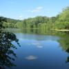 View of Scarlet Oak Pond Ramapo Valley Reservation - Photo credit: Daniel Chazin