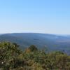 Looking south along the Shawangunk Ridge from the Long Path - Roosa Gap State Forest - Photo credit: Daniela Wagstaff