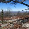 View along the Shawangunk Ridge Trail - Shawangunk Ridge State Forest - Photo credit: Daniel Chazin