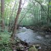 Along the scenic Black River - Photo credit: Daniela Wagstaff