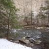 Along the South Branch of the Raritan River - Photo credit: Daniela Wagstaff